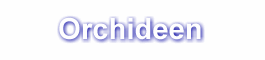 Orchideen