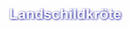 Landschildkr�te