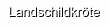 Landschildkr�te