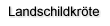 Landschildkr�te